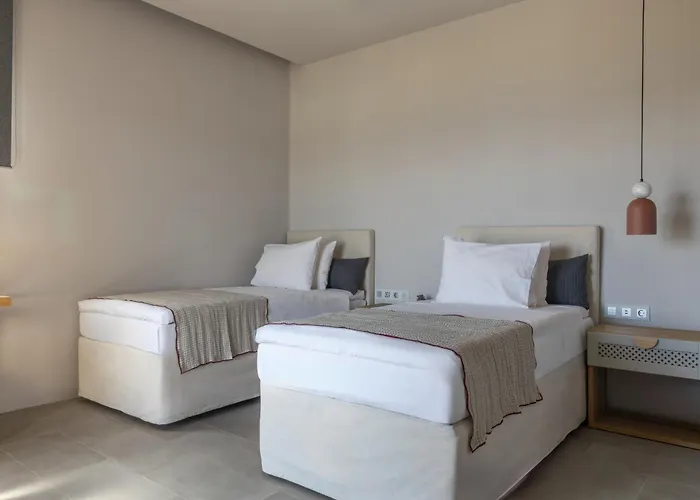 Poseidon Of Paros & Otel Chrisi Akti (Paros)