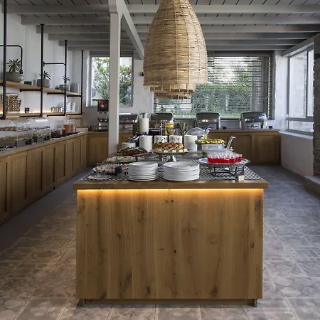 帕罗斯岛波塞冬spa酒店 酒店 5*